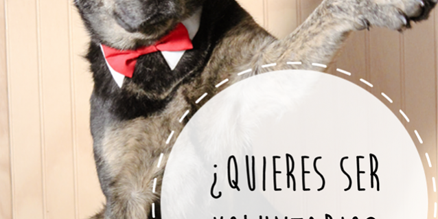 10687237_357035134452487_8394006215031623593_o