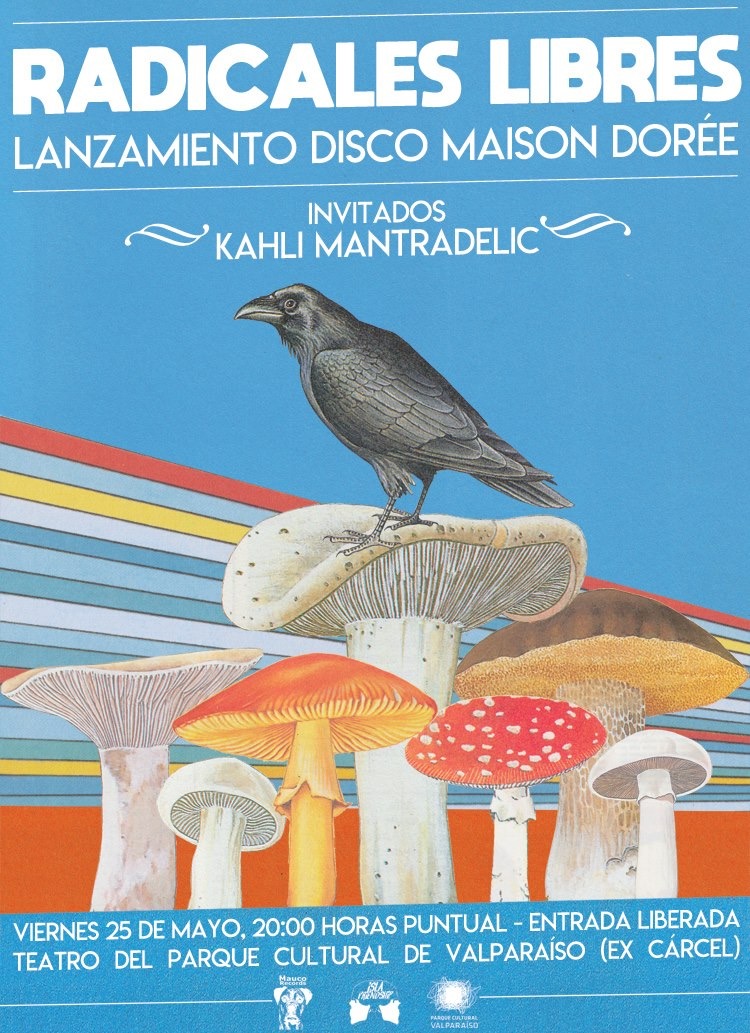 WhatsApp Image 2018-05-15 at 11.12.42 lanzamiento de radicales libres